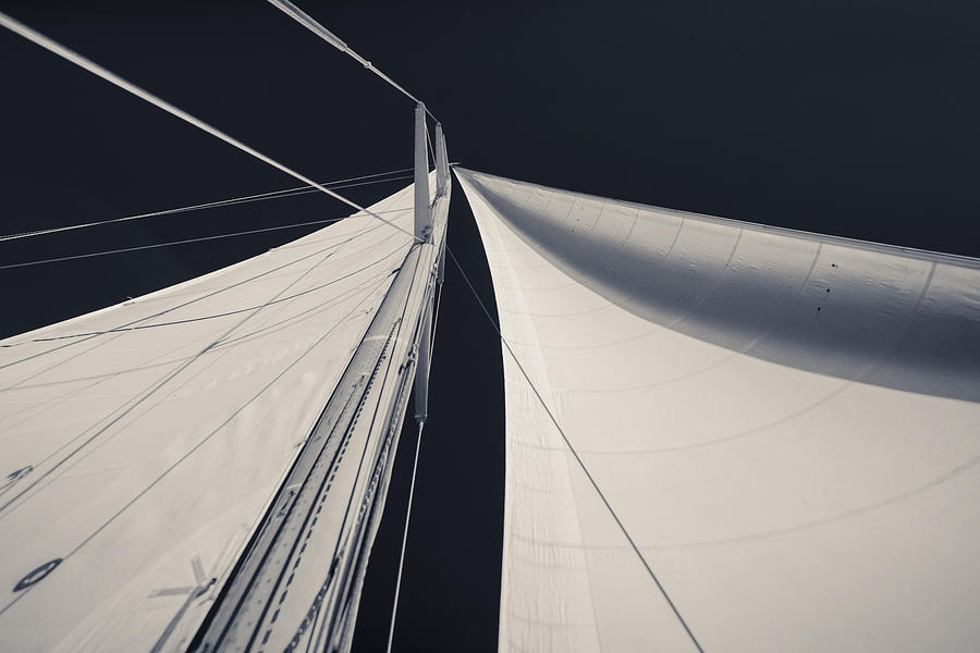 Obsession Sails 1 Black and White Photograph by Scott Campbell