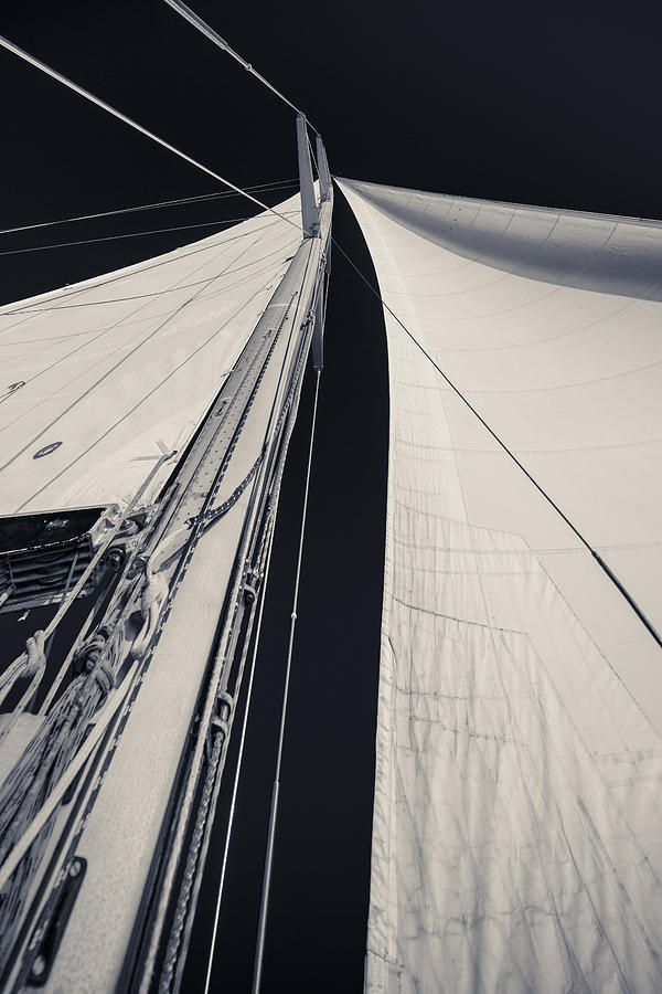 Obsession Sails 2 Black and White Photograph by Scott Campbell