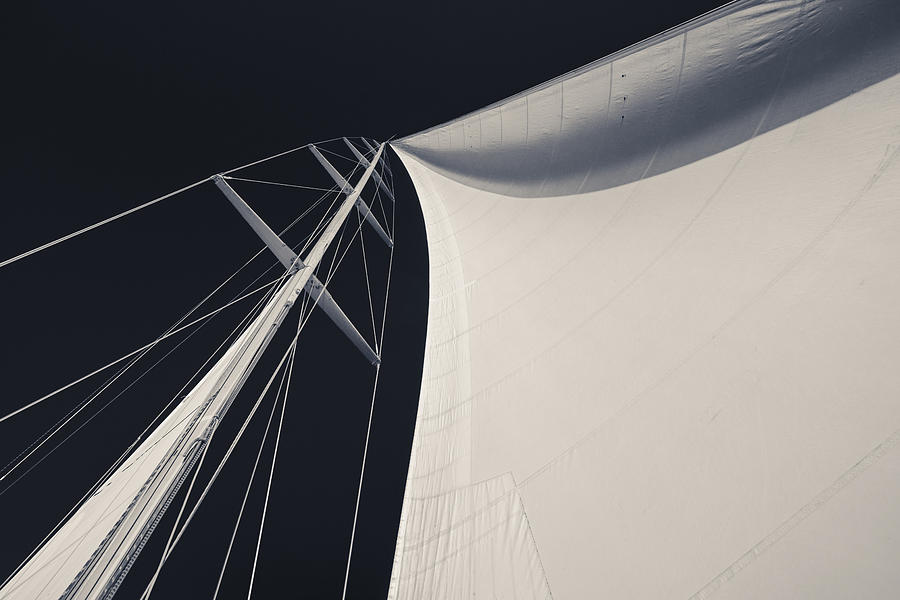 Obsession Sails 3 Black and White Photograph by Scott Campbell