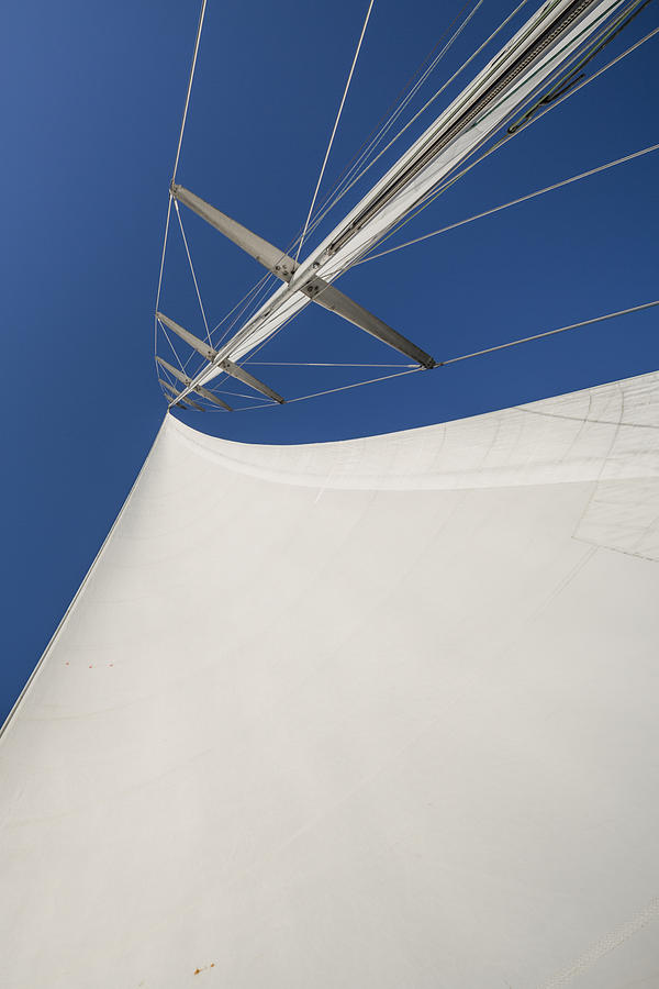 Up Movie Photograph - Obsession Sails 4 by Scott Campbell
