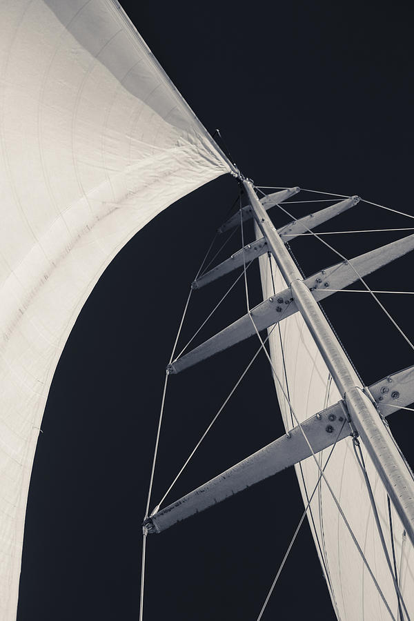 Up Movie Photograph - Obsession Sails 5 Black and White by Scott Campbell