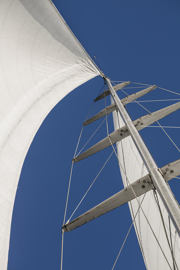 Up Movie Photograph - Obsession Sails 5 by Scott Campbell