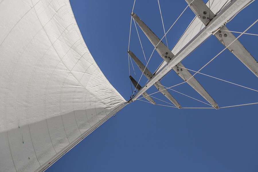 Up Movie Photograph - Obsession Sails 8 by Scott Campbell