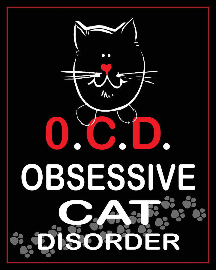 Obsessive Cat Disorder Photograph by Daryl Macintyre Fine Art America