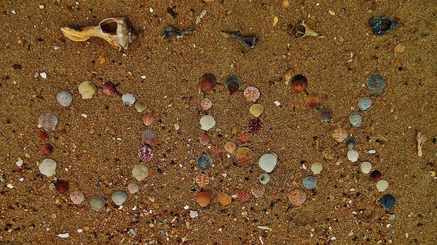OBX Shells Photograph by Mark Lemmon Pixels