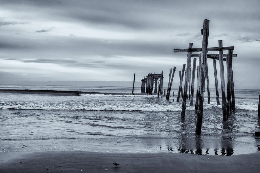 OC Pier in Black and White Photograph by Tom Singleton