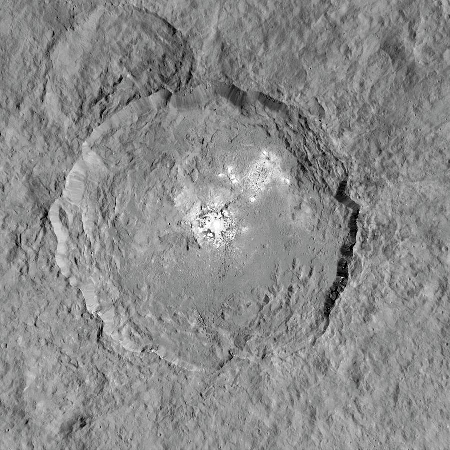 Occator Crater Photograph by Nasa/jpl-caltech/ucla/mps/dlr/ida
