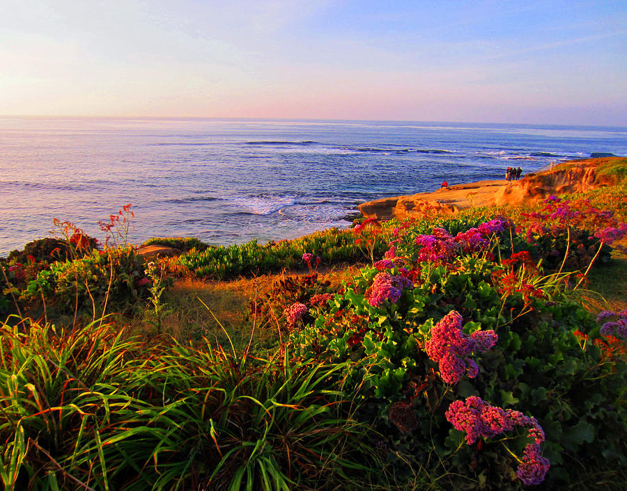 Sunset Photograph - Ocean and Flowers by Christine Bell