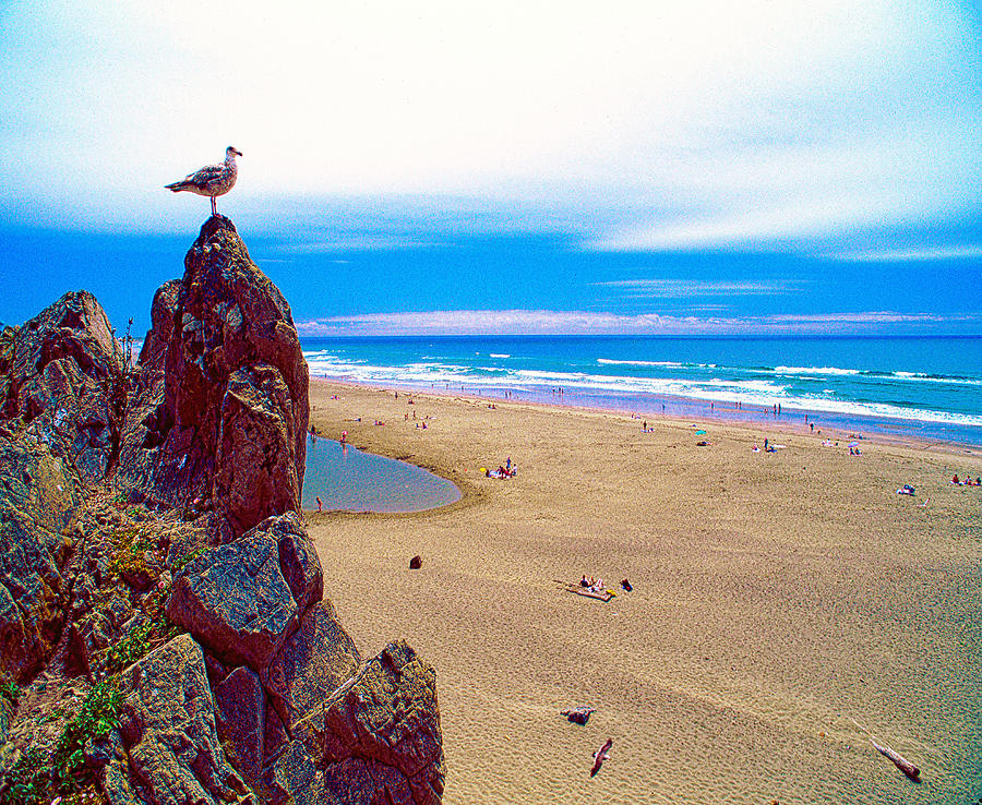 Ocean Beach San Francisco ver. 5 Photograph by Larry Mulvehill
