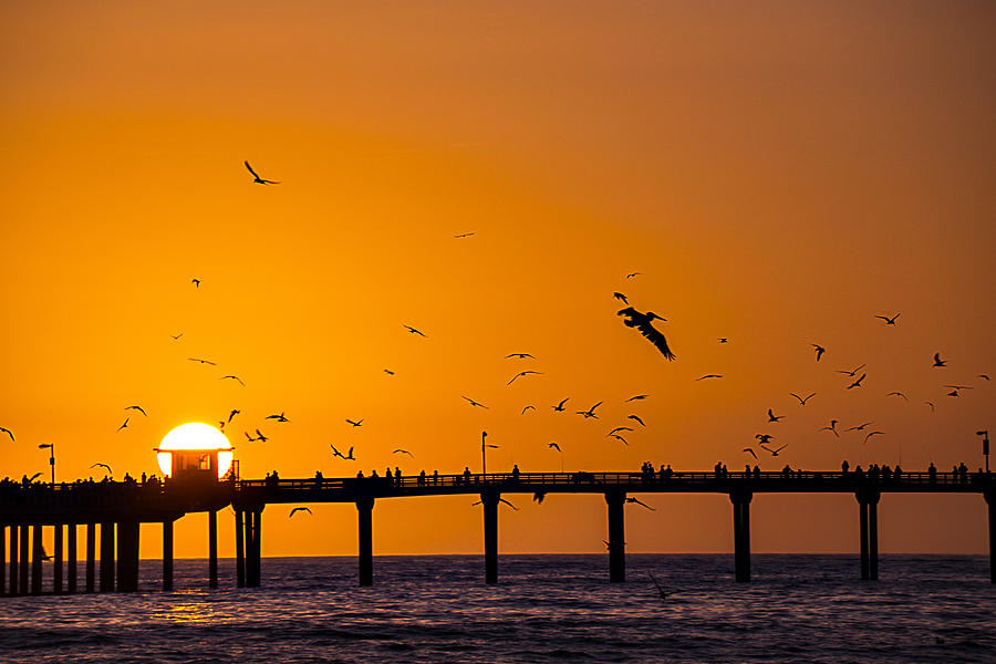 Ocean Beach Setting Sun Photograph by Garry Gay