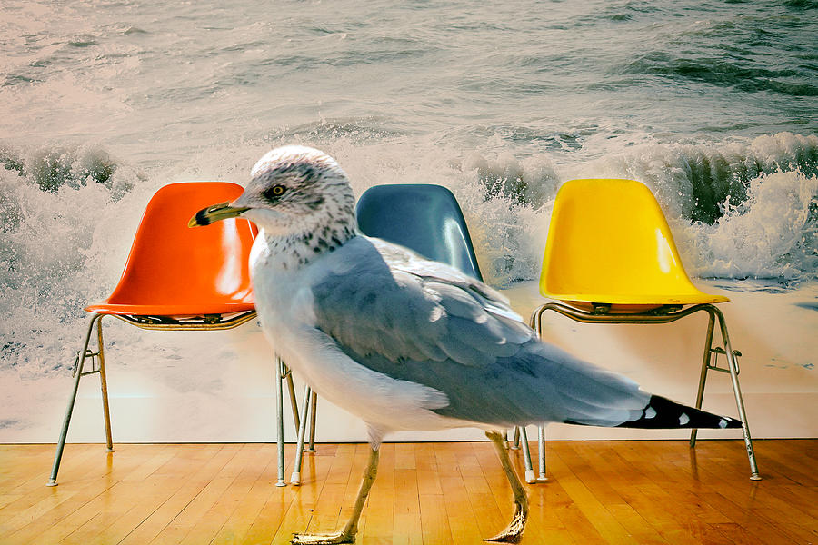 Ocean behind plastic chairs with bird walking Photograph by James Bethanis