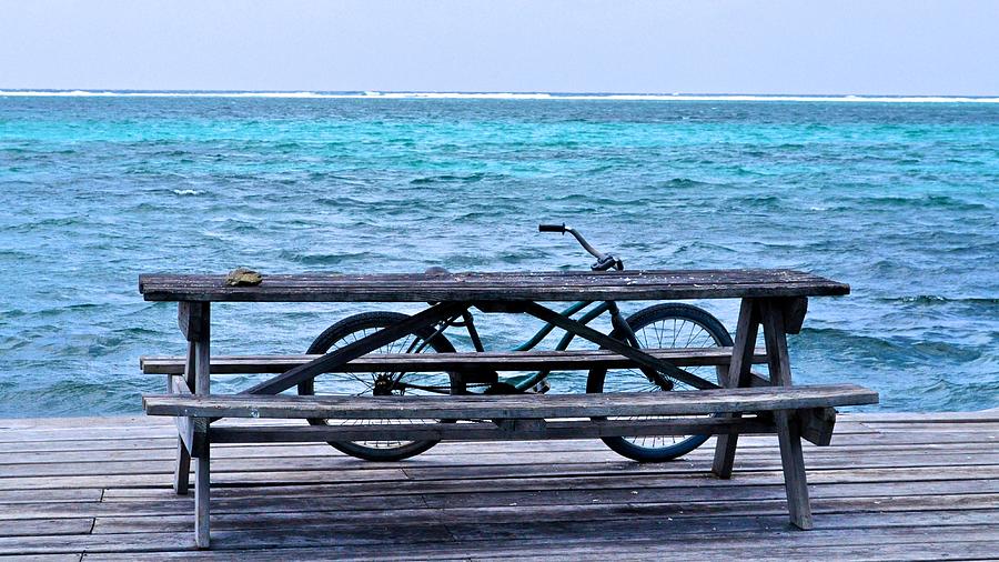 Coastal Cycling Photograph by Kristina Deane