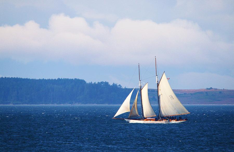 Ocean Blue Photograph by Karen Jones - Fine Art America