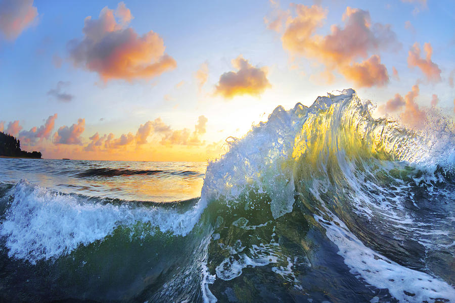 Ocean Photograph - Ocean Bouquet by Sean Davey Ocean Photograph - Ocean Bouquet by Sean Davey