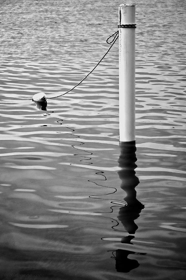 Ocean Buoy Photograph by Britt Runyon