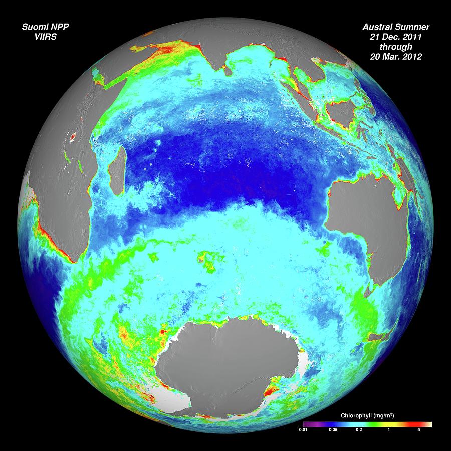 Space Photograph - Ocean Chlorophyll Concentrations by Nasa/suomi Npp/norman Kuring