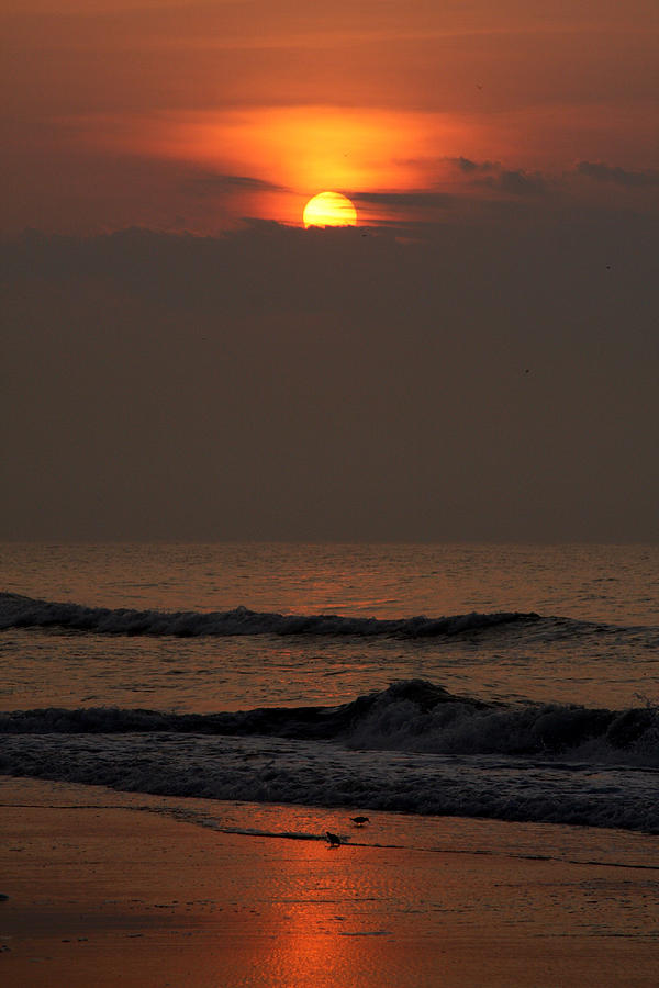 Ocean City Sunrise Photograph by Vadim Levin