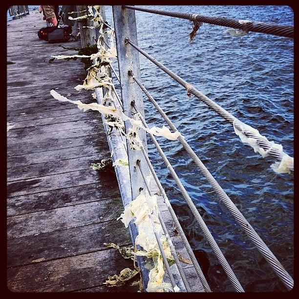 Deck Photograph - #ocean #dock #water #seaweed #deck by Leanna Bodo