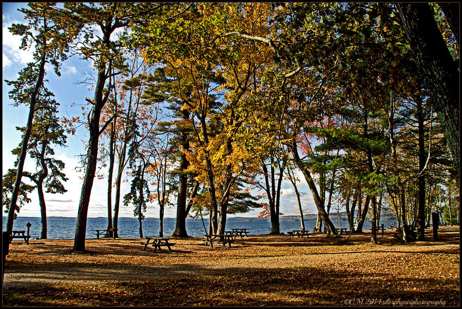 Ocean Recreation Photograph by Catherine Melvin - Fine Art America