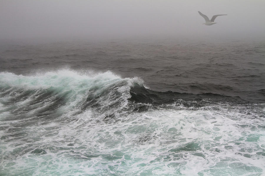 Storm on the Atlantic Photograph by Sue Cullumber