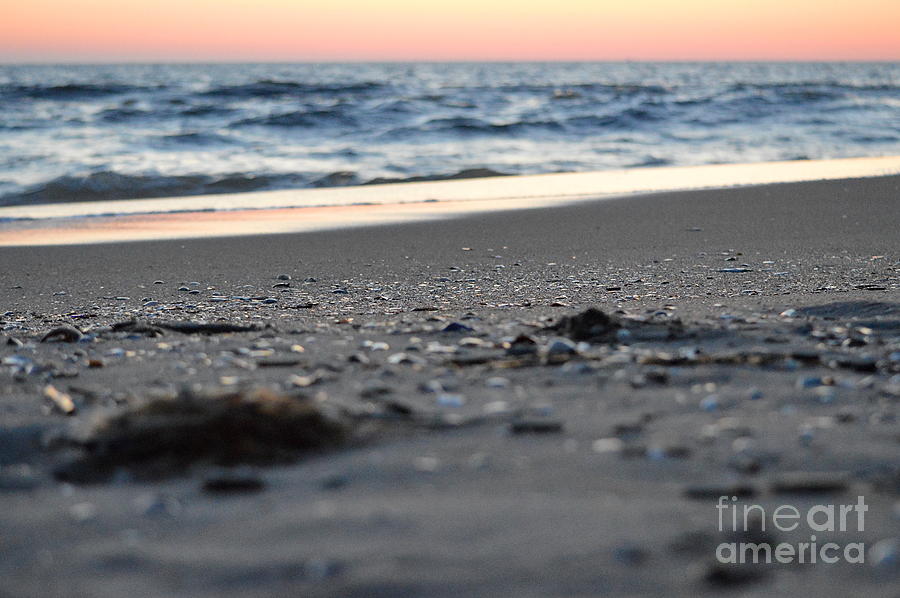 Ocean Sunrise and Shells Photograph by Karin Everhart
