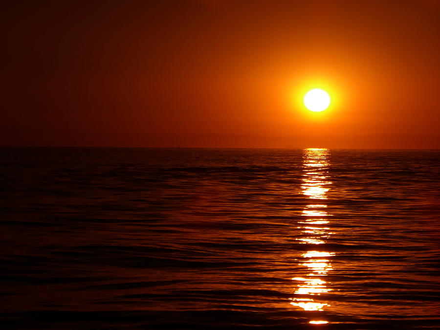 Ocean Sunrise Photograph by Chris Bavelles
