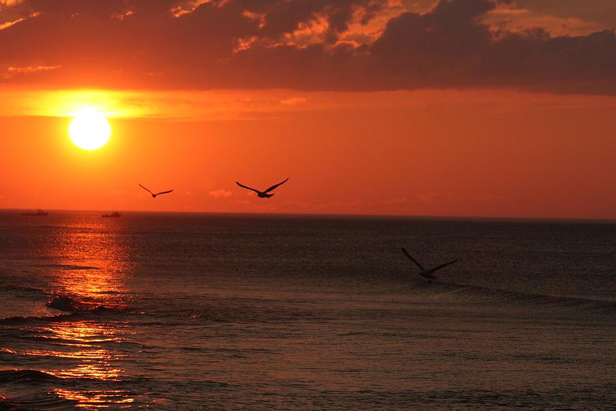 Ocean Sunset Photograph by Allan Morrison