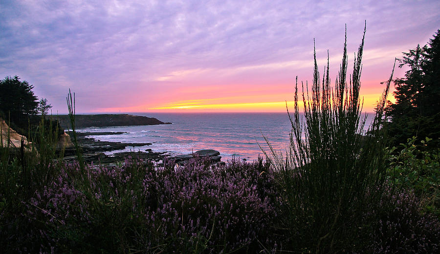 Purple Ocean Sunset Photograph by Athena Mckinzie