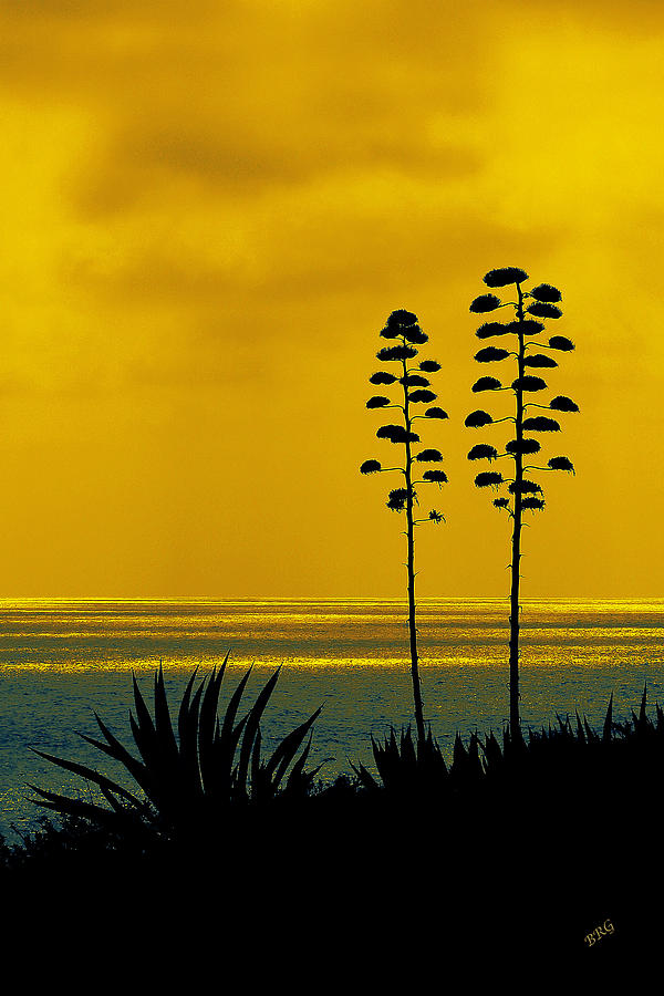 Ocean Sunset With Agave Silhouette Photograph by Ben and Raisa Gertsberg