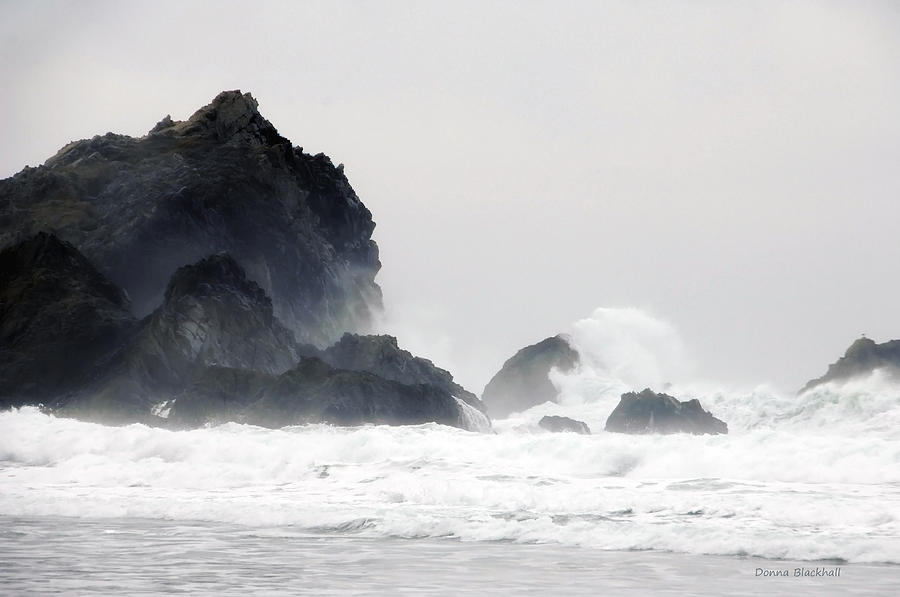 Ocean Thunder Photograph by Donna Blackhall