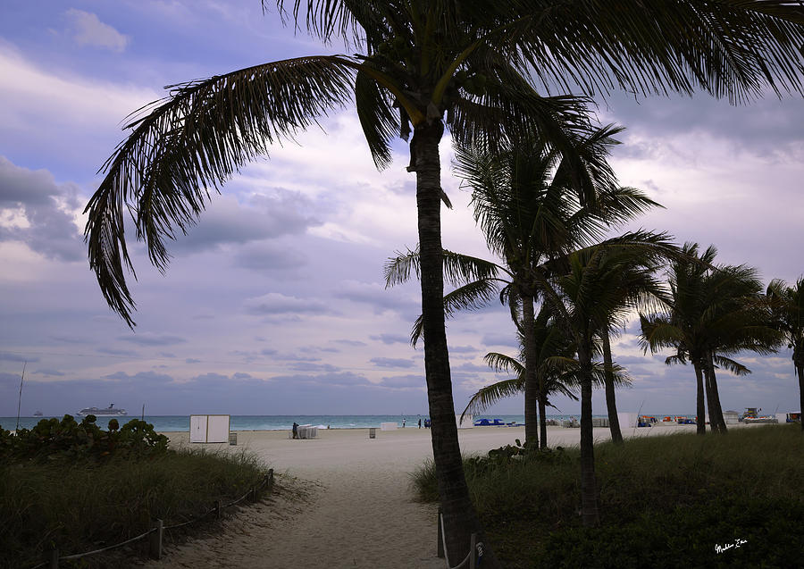 Tree Photograph - Ocean View 4 - Miami Beach - Florida by Madeline Ellis