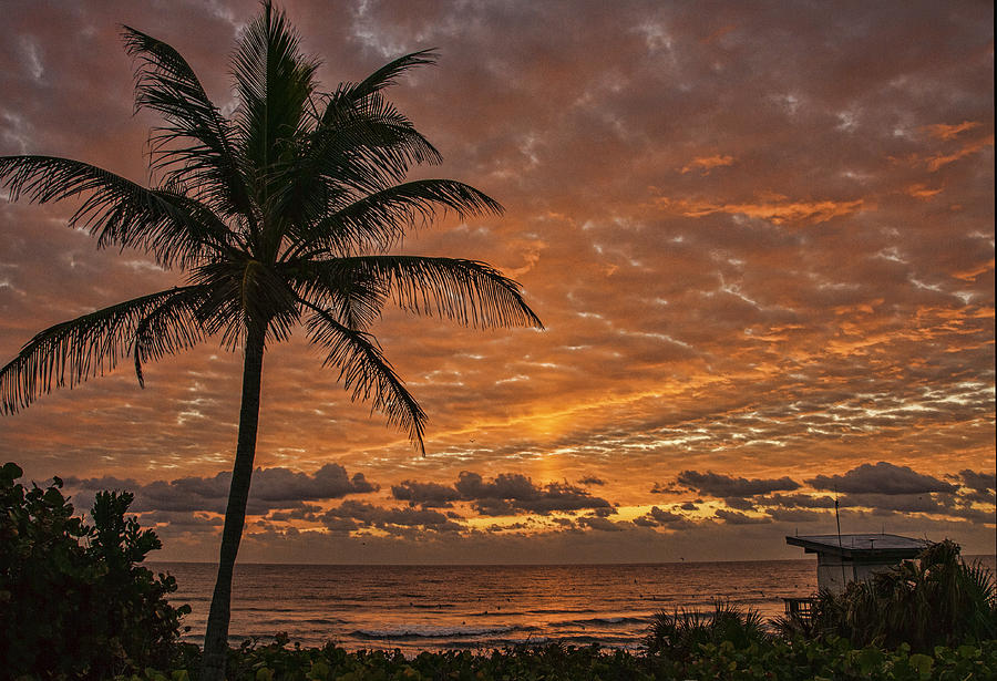 Oceanfront Park Sunrise 2 Photograph by Don Durfee