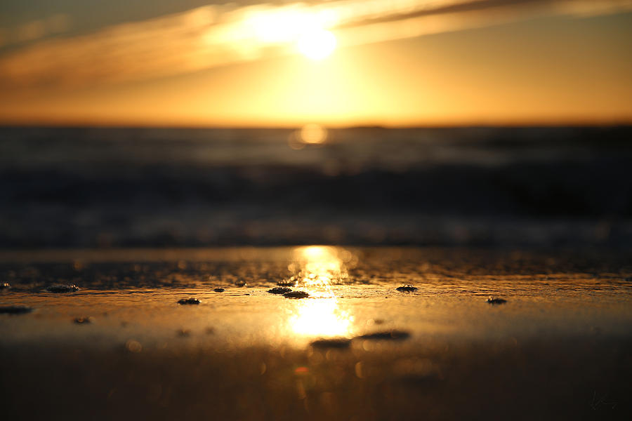 Oceanfront Property Photograph by Kevin Mahaney | Fine Art America