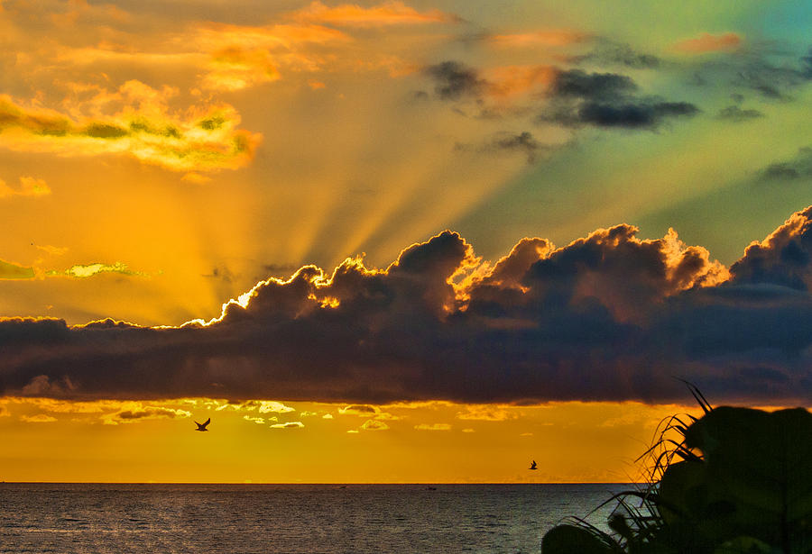 Oceanfront Sunrise Photograph by Don Durfee