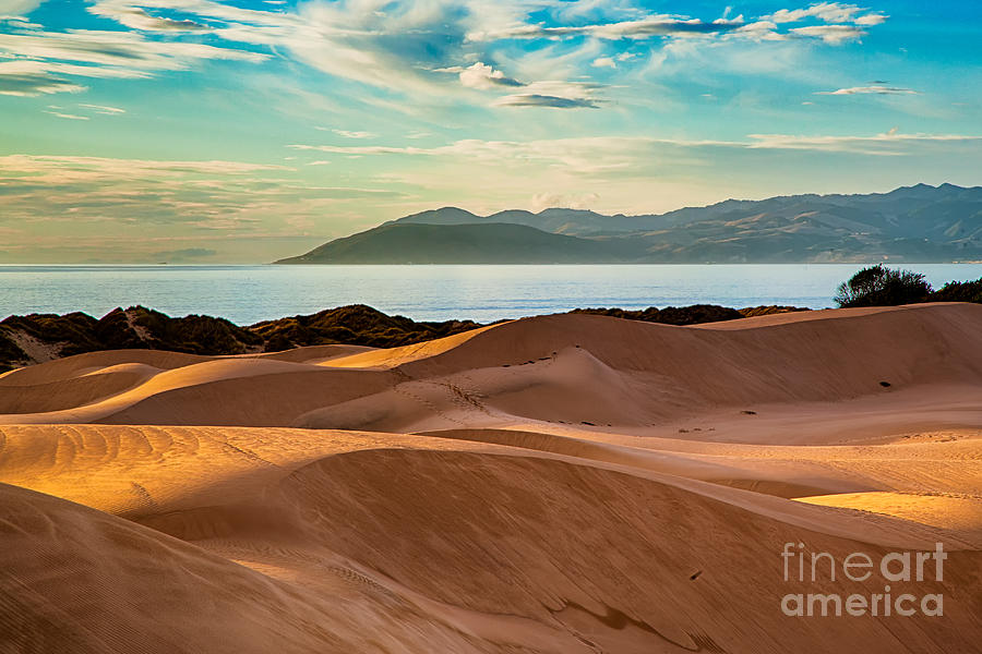 Oceano Dunes In The Afternoon Photograph by Mimi Ditchie