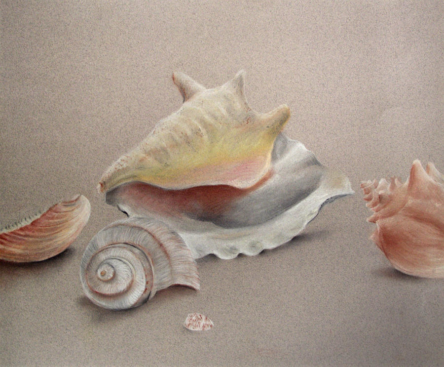Shell Pastel - Oceans Bones by Rebekah Kitzmiller