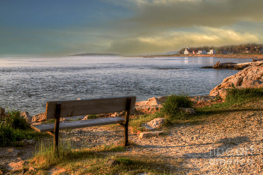 Nature Photograph - Oceanside Bench by Brenda Giasson