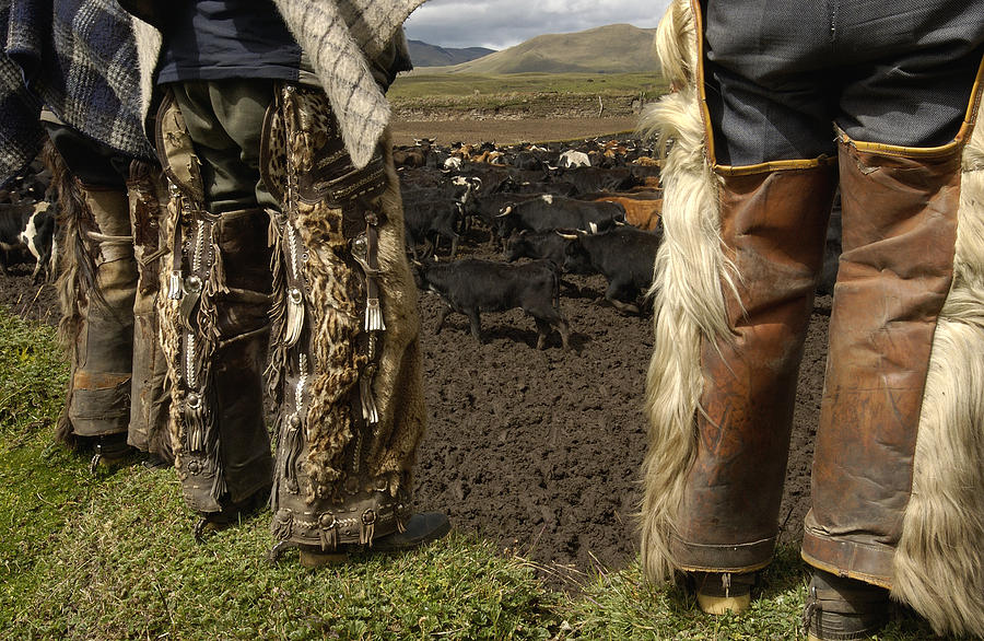 Ocelot Fur And Goat Hair Chaps Ecuador Photograph by Pete Oxford