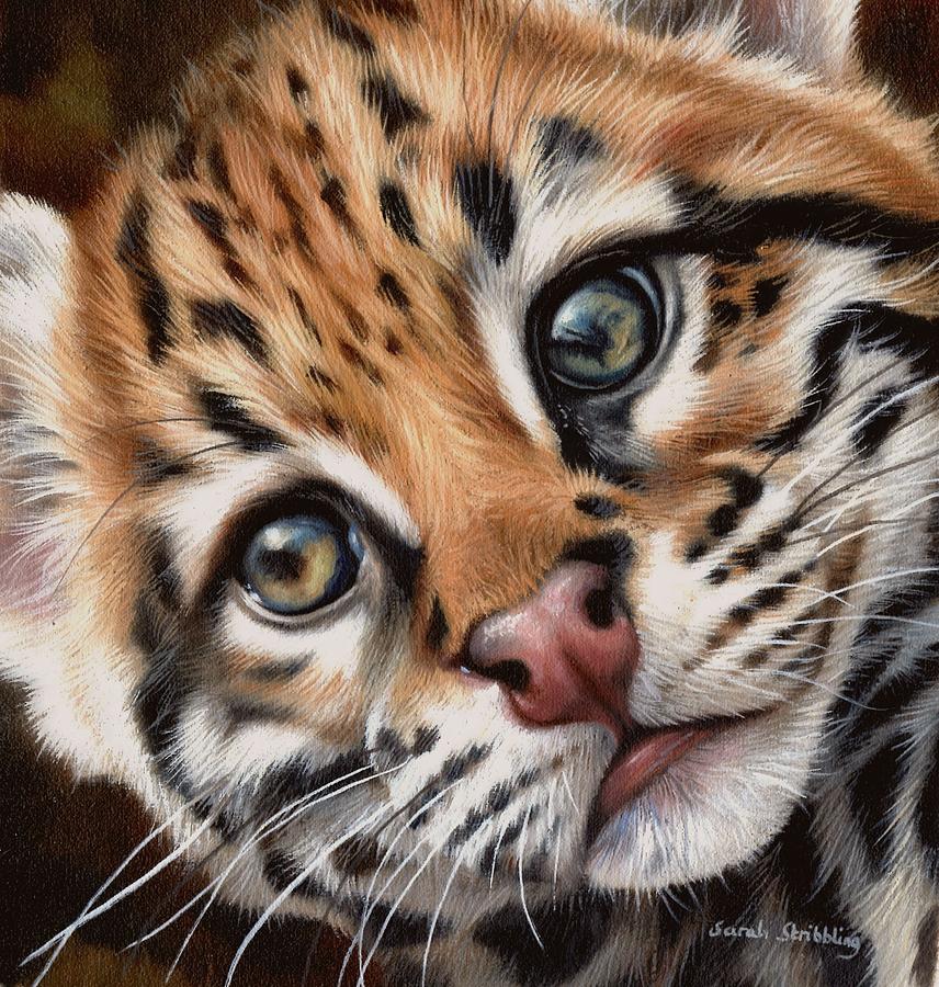 Animal Painting - Ocelot kitten by Sarah Stribbling