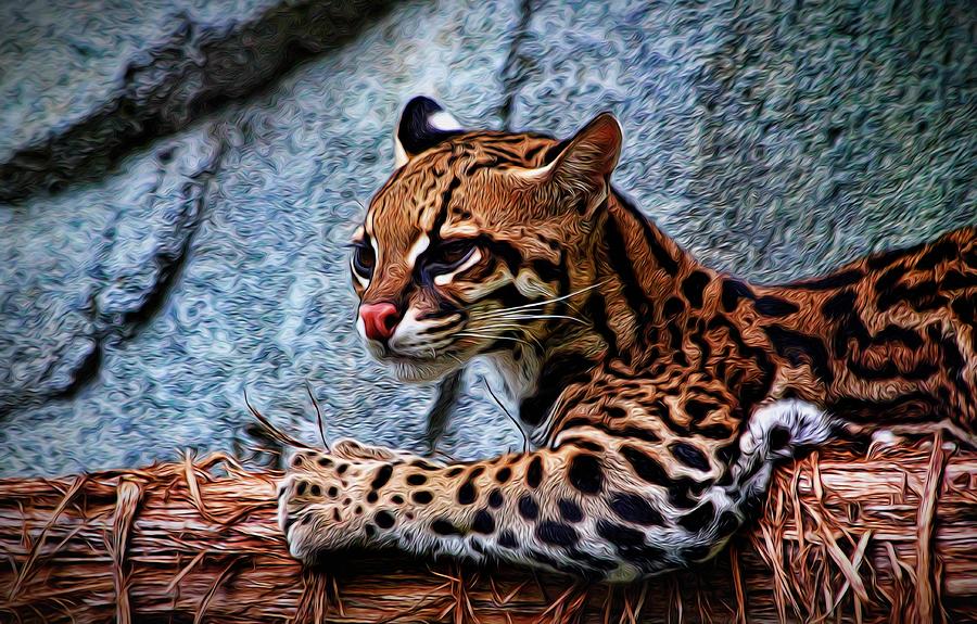 Ocelot Painted Photograph by Judy Vincent