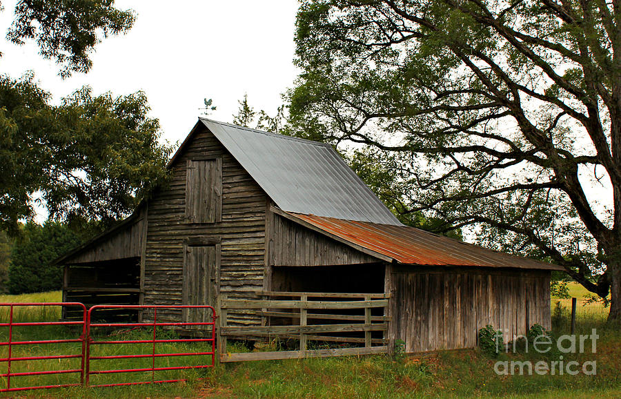 Faithful Oconee County Historic Barn Photograph by Reid Callaway