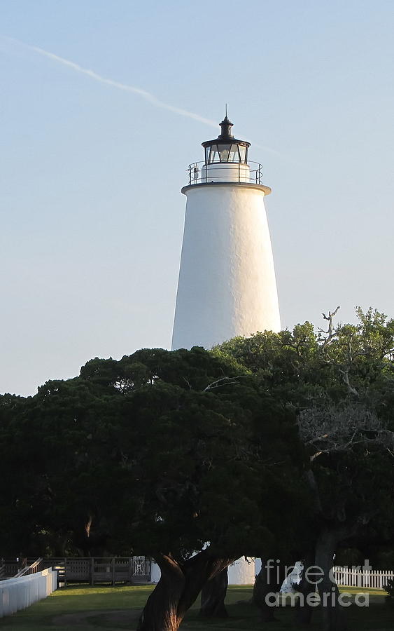 Lighthouse Photograph - Ocracoke Lighthouse and Trees by Cathy Lindsey