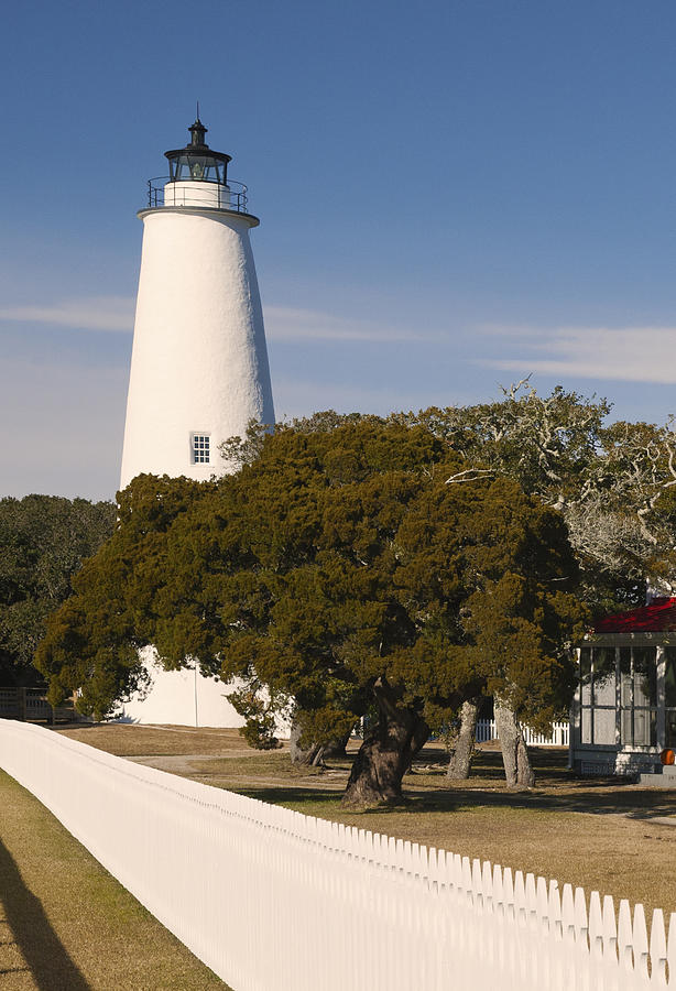 Ocracoke Island Lighthouse Portrait IMG3529 Photograph by Greg Kluempers