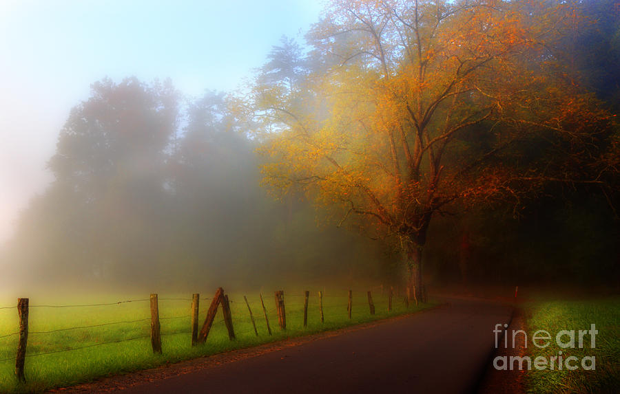 October And Fog Photograph by Michael Eingle