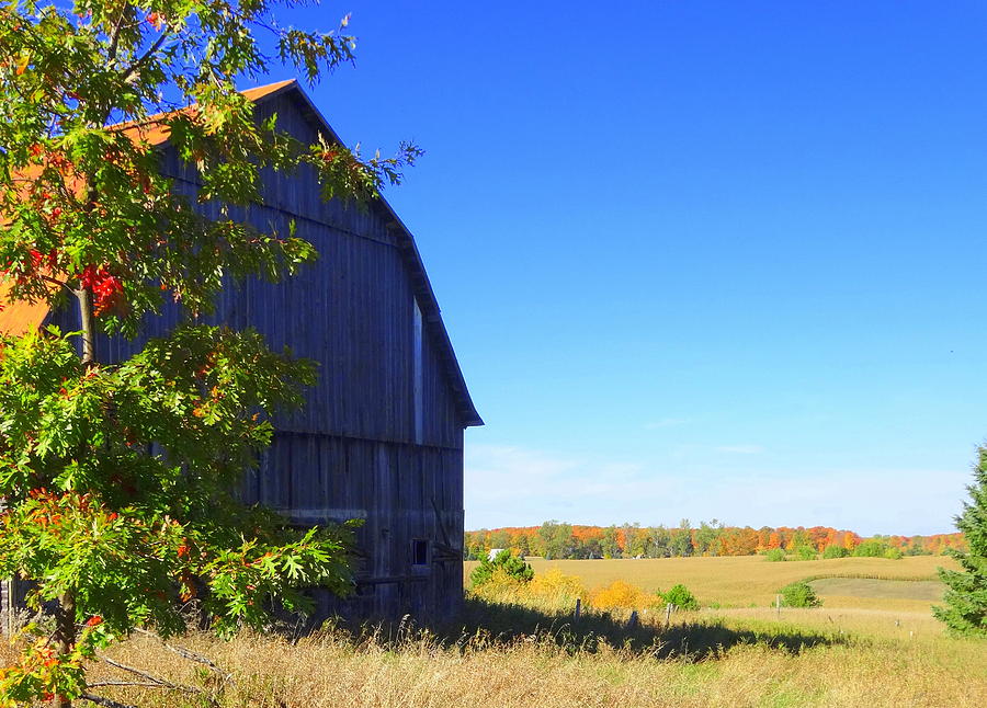 October Barn Photograph by Kathleen Luther
