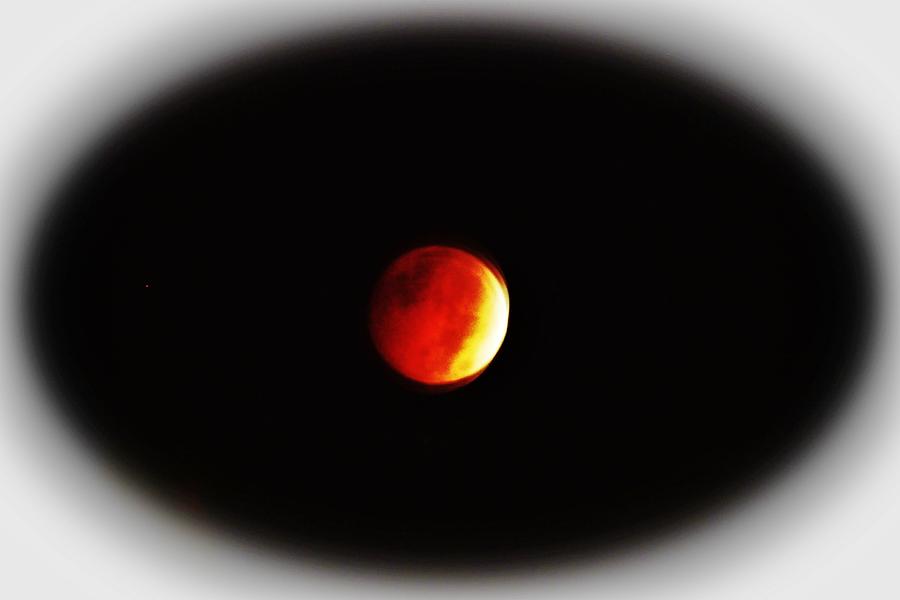 October Blood Moon Photograph by Cynthia Guinn