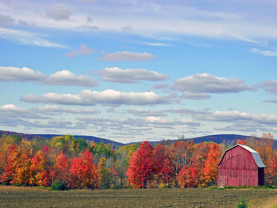 October In Upstate New York Photograph by Byron Varvarigos