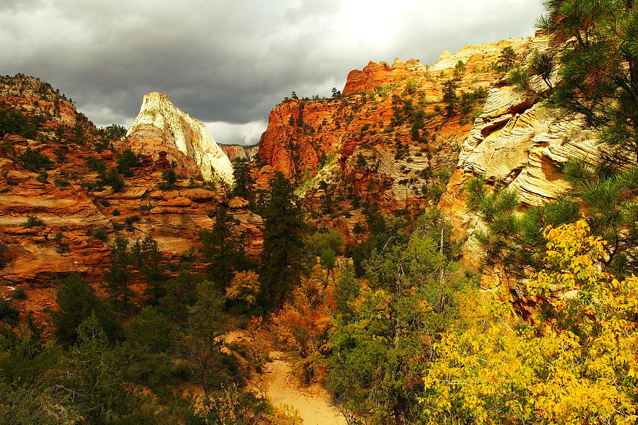 October In Zion Photograph by Jeff Swan