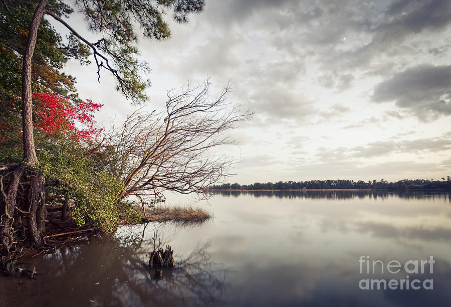 October Photograph By Lisa McStamp   Fine Art America