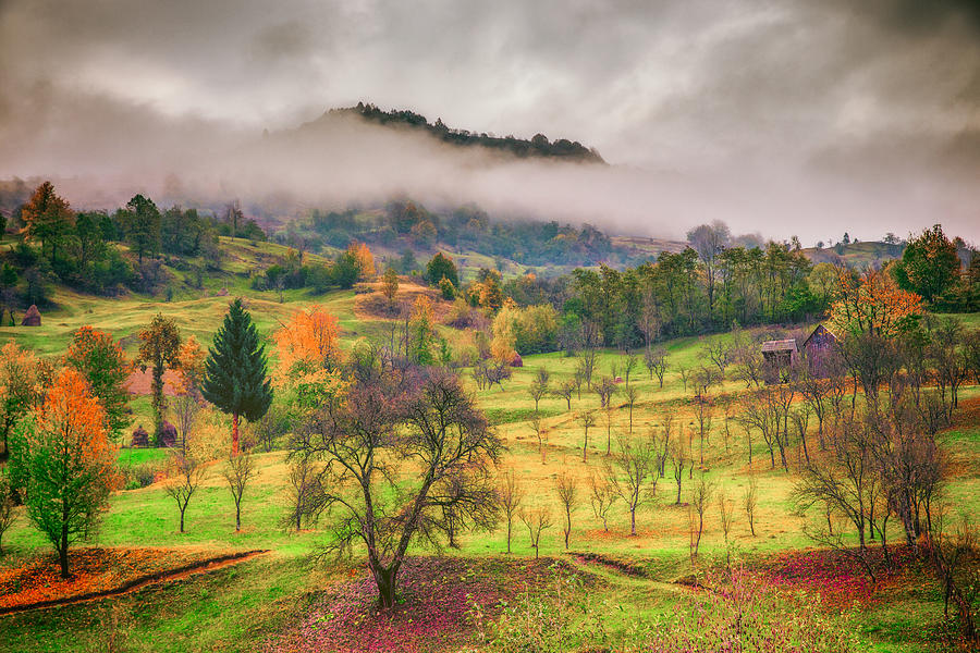 October Mood Photograph by Adrian Popan - Fine Art America